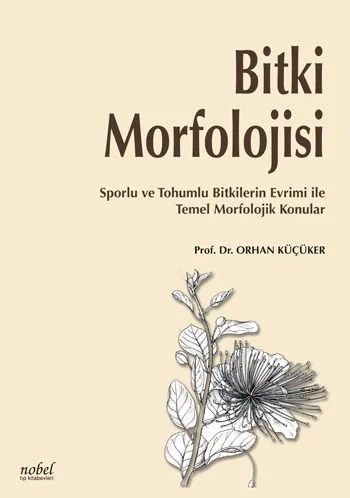 Bitki Morfolojisi: Sporlu ve Tohumlu Bitkilerin Evrimi ile Temel Morfo