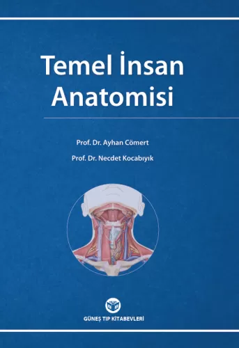 Temel İnsan Anatomisi